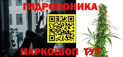 прущие крисы Комсомольск-на-Амуре